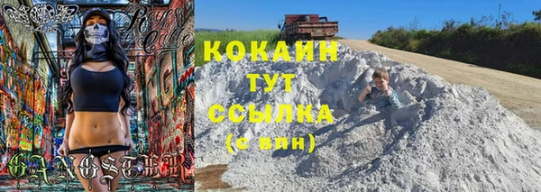 трава Лабытнанги