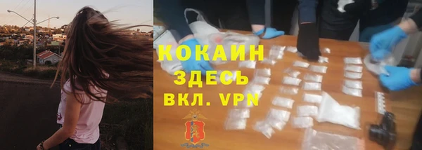 трава Лабытнанги