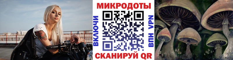 Галлюциногенные грибы мицелий Михайловка